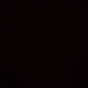 Meet your Posher, Evan